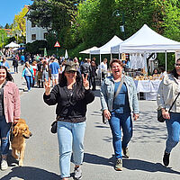 Apfelblütenfest 2025