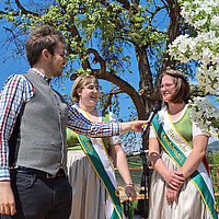 Apfelblütenfest 2025